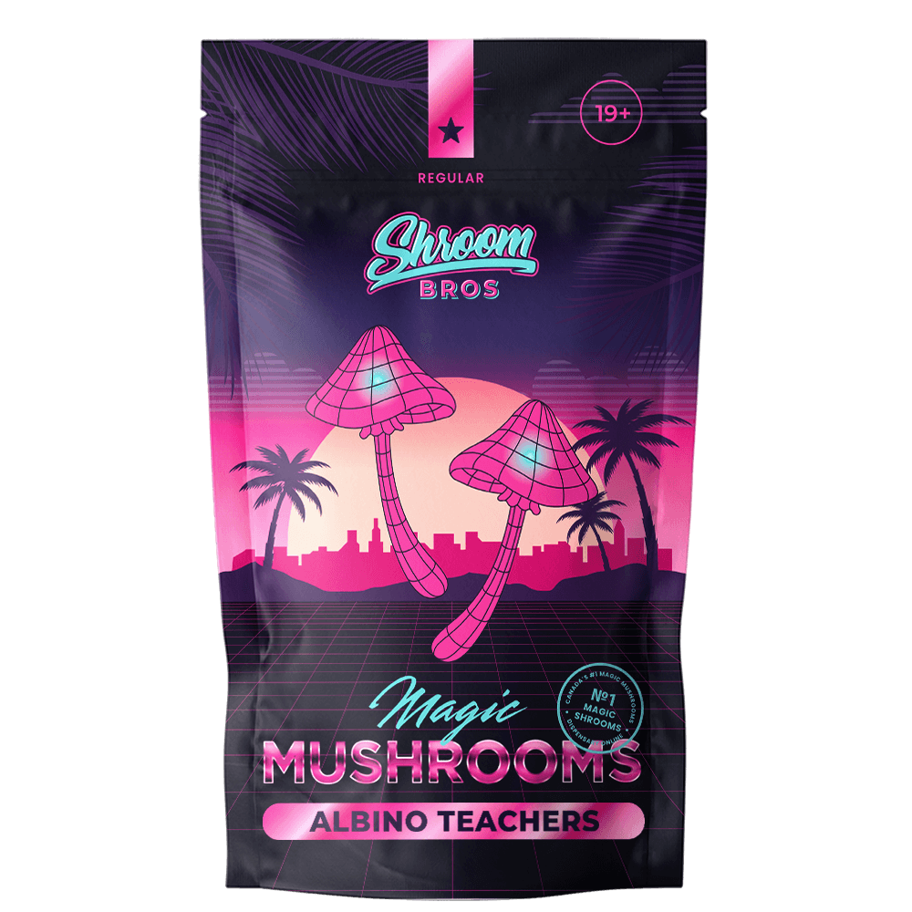 Albino Teachers magic mushrooms