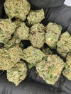 BULK INDOOR THCA FLOWER SMALLS